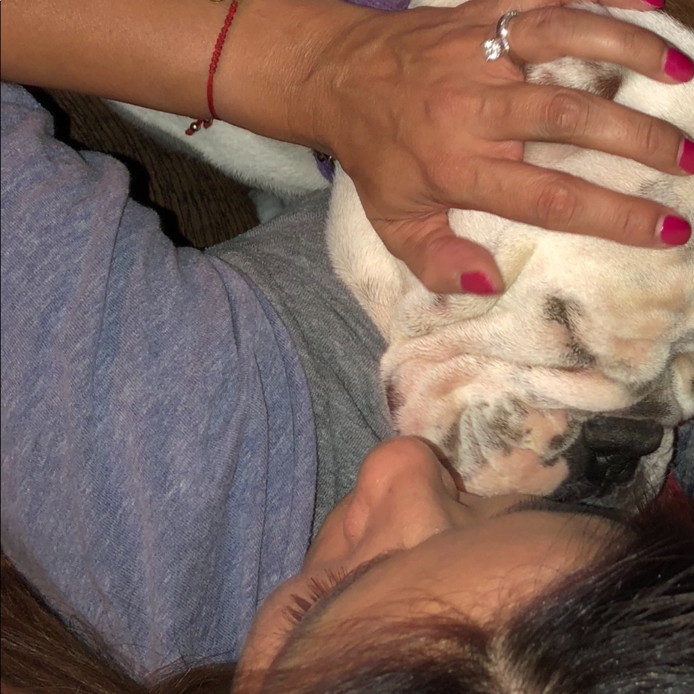 Meet your Posher, Norma